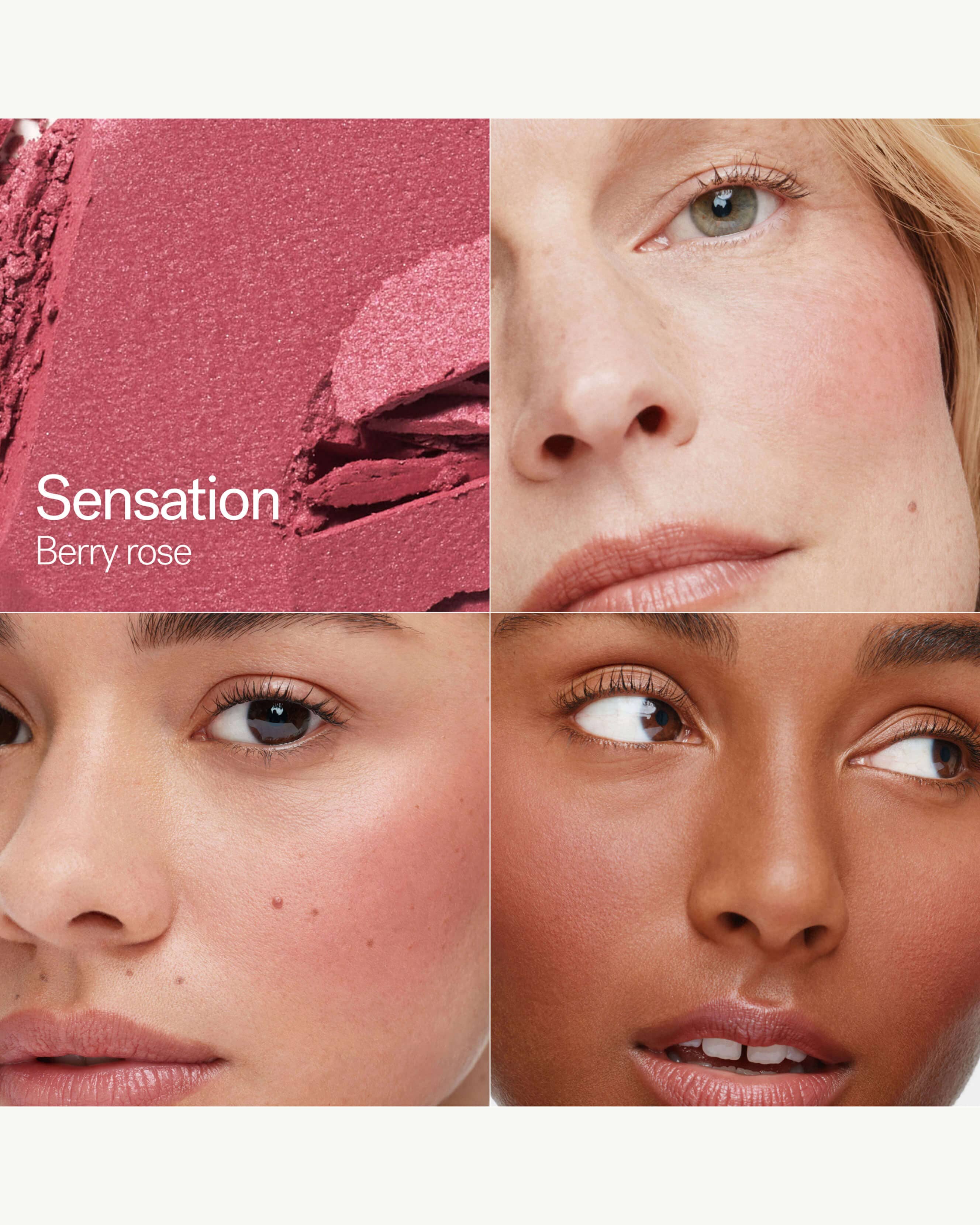 Sensation (berry rose)