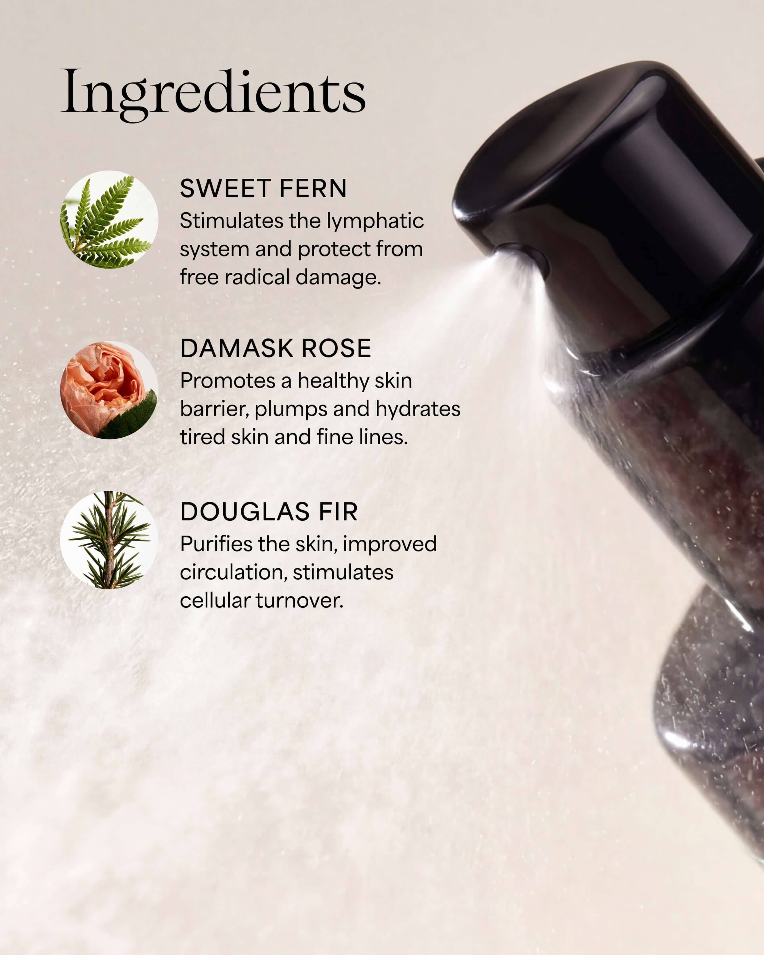 Empress Sweetfern Hydrasoothe Face Mist